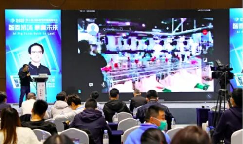 這一場國際智慧養豬落地盛宴 智盈豬場,慧贏未來