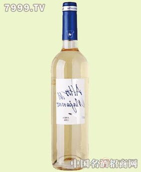 Alto del Mar 西班牙海濱度假區的房地產代理新星